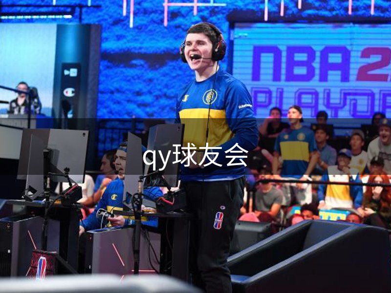 网站概况